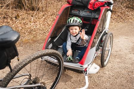 sigaar Primitief kans ᐅ Beste fietskarren kopen 2023: wat is de veiligste fietskar?