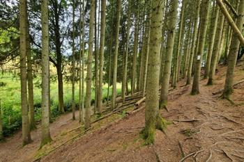 Kasteel Reinhardstein en waterval van Bayehon 