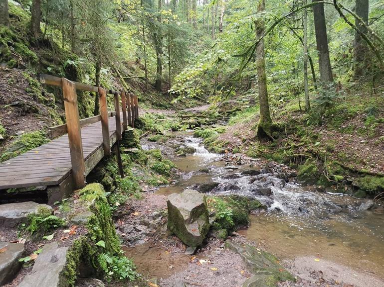 D Mooiste Wandelingen In Het Zwarte Woud Kaartje