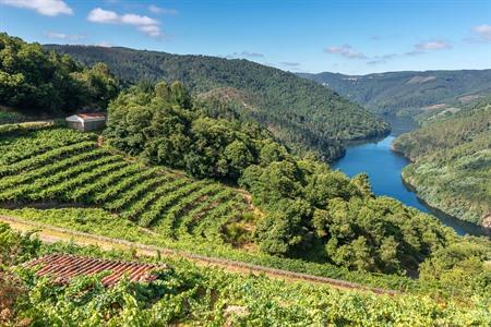 Ribeira Sacra, Galicië in Spanje