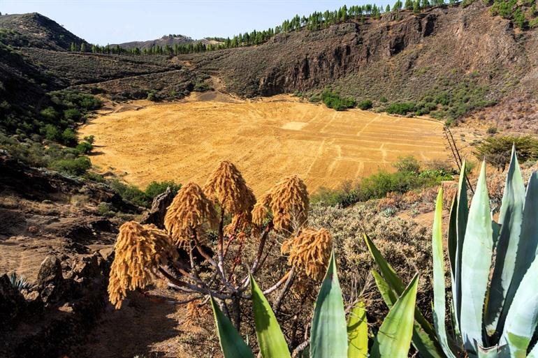 Uitzicht op Caldera de Los Marteles, Gran Canaria