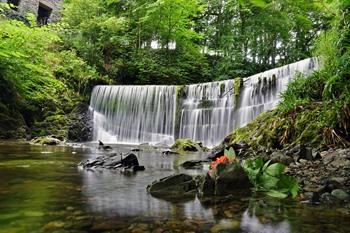 Wandel naar de Stock Ghyll Force waterfall bij Ambleside, Lake District