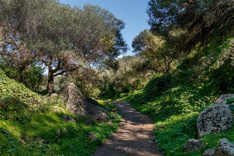 Wandel rond Barranco de los Cernícalos, Gran Canaria