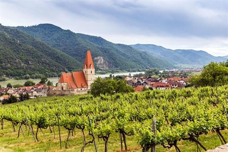 Weißenkirchen in der Wachau met de wijngaarden, Oostenrijk