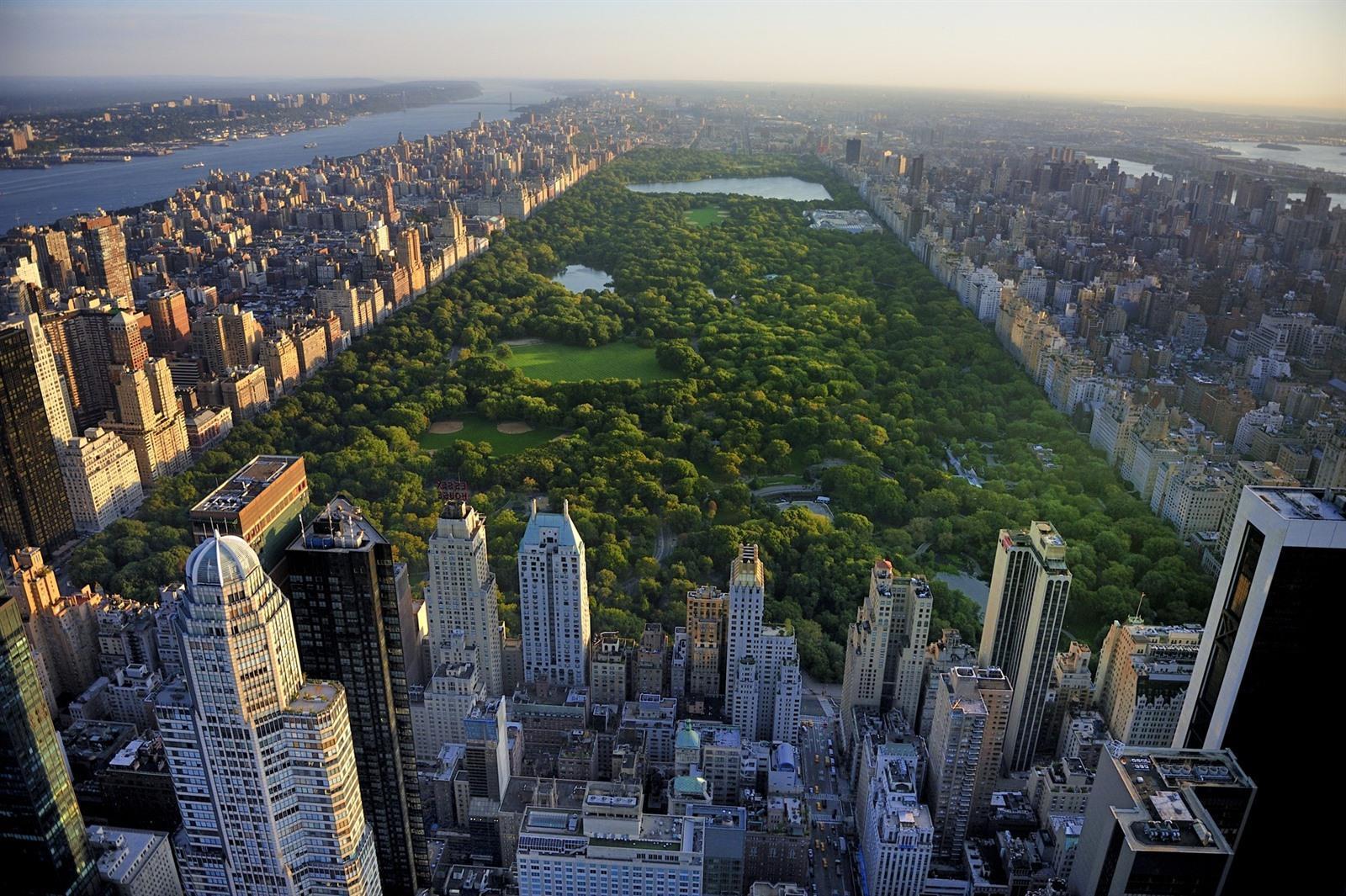 wandeling-central-park-times-square-en-broadway-new-york