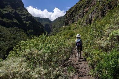 Wandel naar El Rosario en de Barranco de Ruiz