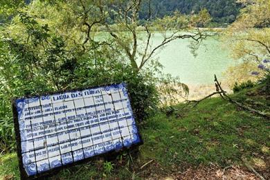 Wandeling Lagoa das Furnas vanuit Furnas