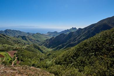 Wandel rond Mirador Pico de Ingles